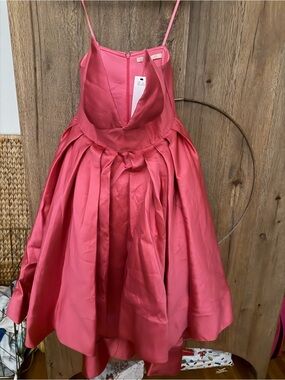 Hutch Pink Women’s Dress